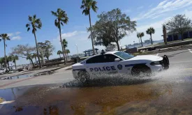 Man Faces Jail Time for Abandoning Dog During Hurricane in Florida