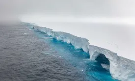 Massive Iceberg Threatens Remote Island Habitat