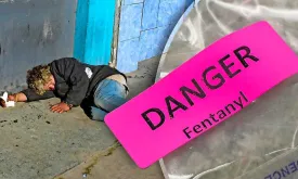 Mexican Drug Cartel Recruiting Vulnerable Chemistry Students for Fentanyl Production