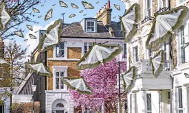 Moth Infestation Causes Legal Battle Between Millionaire Residents in London