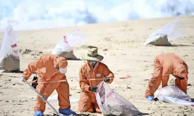 Mysterious Balls Found Again: Nine Sydney Beaches Closed