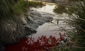 Mysterious Red Color in Canal Near Buenos Aires Raises Concerns