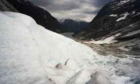 Mystery Unveiled as Glaciers Melt: Surprising Discoveries Excite Scientists