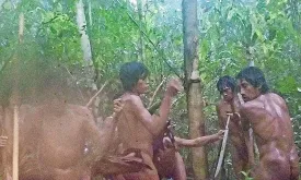 New Images Show Indigenous Tribe in Brazilian Amazon Rainforest