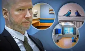 Norwegian Mass Murderer Anders Breivik Receives Two Guinea Pigs in Cell