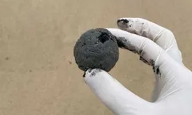 Popular Sydney Beach Closed After Mysterious Black Balls Wash Up