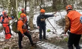 Search for Bigfoot Ends Tragically: Two Men Found Dead in Remote Forest