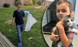 Six-year-old boy starts dog poop cleanup service to adopt cat from shelter, and succeeds