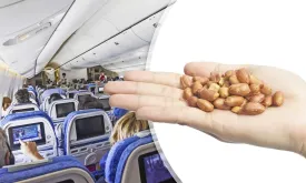 Study: Peanut particles in airplanes unlikely to cause allergic reactions, say scientists