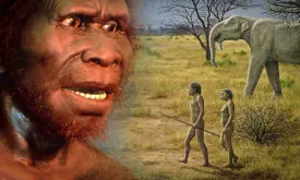 Study Shows: Prehistoric Humans Had Company