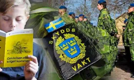 Sweden and Finland Prepare Citizens for Potential War with Information Campaigns