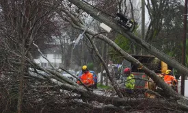 Thousands Still Without Power in Ireland Two Weeks After Storm Éowyn