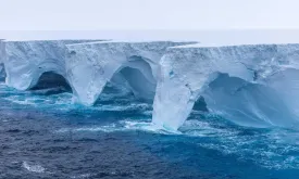 World's Largest Iceberg Stalls, Avoids Collision with Island