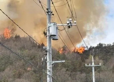 Forest Fire Breaks Out in Japan's Hiroshima Prefecture