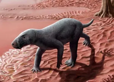 Fossil of 'Sabre-toothed Proto-mammal' Found on Mallorca Could Rewrite Evolutionary History