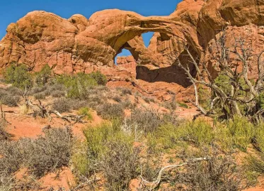 Human Remains Found in Various Stages of Decomposition on Hiking Trail in Utah, US