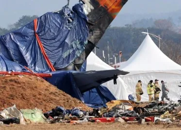 Investigations Continue in South Korea: Bird Feathers Found in Aircraft Engines