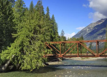 Lost man (39) survives month in national park by drinking river water and eating mushrooms and berries