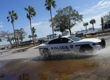 Man Faces Jail Time for Abandoning Dog During Hurricane in Florida