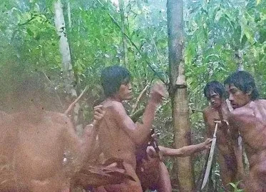 New Images Show Indigenous Tribe in Brazilian Amazon Rainforest