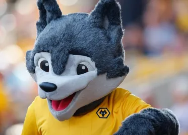 Wolves Mascot Rescues Kid's Chicken Nuggets at Premier League Match
