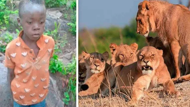 8-Year-Old Boy Survives Five Days in Wildlife Reserve Full of Lions and Elephants