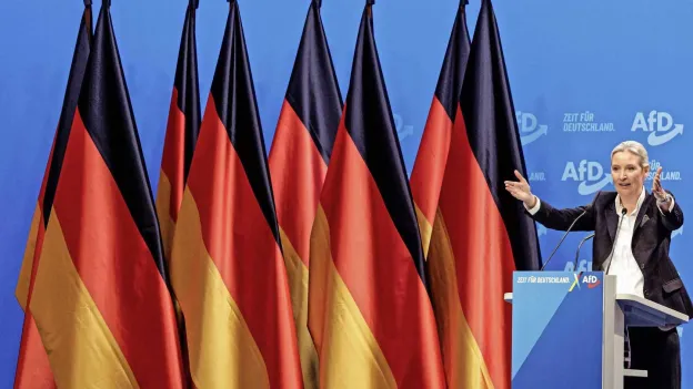 AfD's Fight Against Windmills, Migrants, and Modernization in Germany