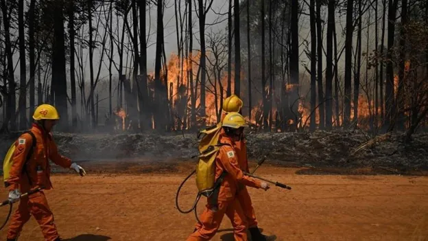 Amazon Rainforest Fires in Brazil