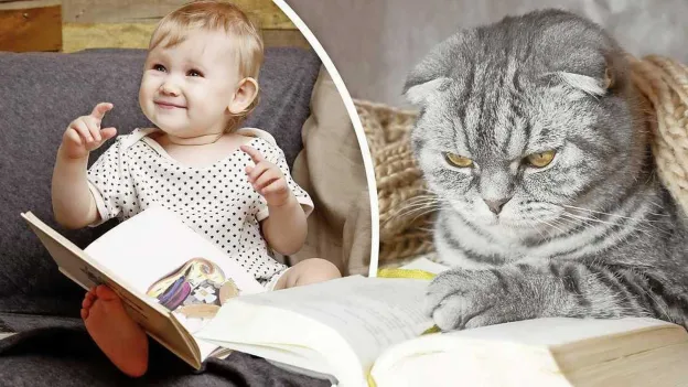 Are Cats Smarter Than Babies? Study Shows Cats Learn Words Faster Than Infants