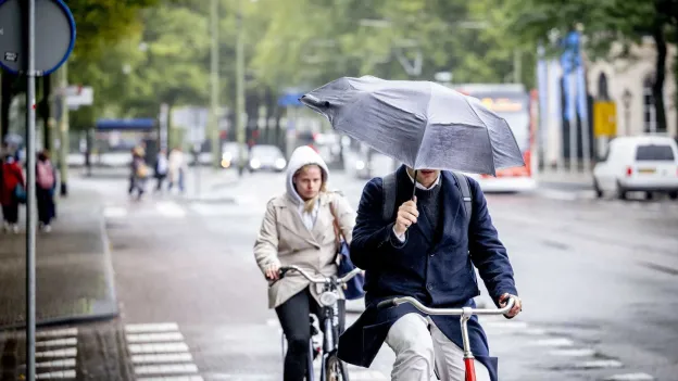 Autumn in Full Swing: Gray Days with Unsettled Weather