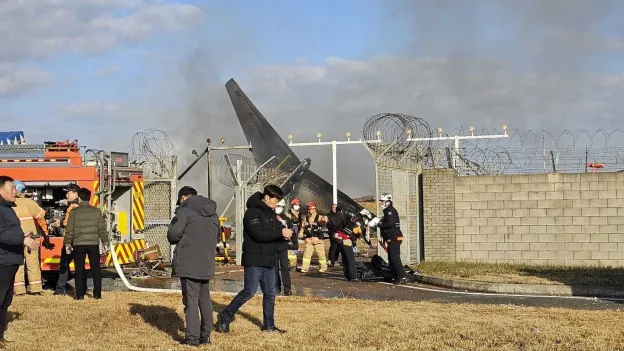 Bird Feathers Found in Engines of Crashed Passenger Plane in South Korea