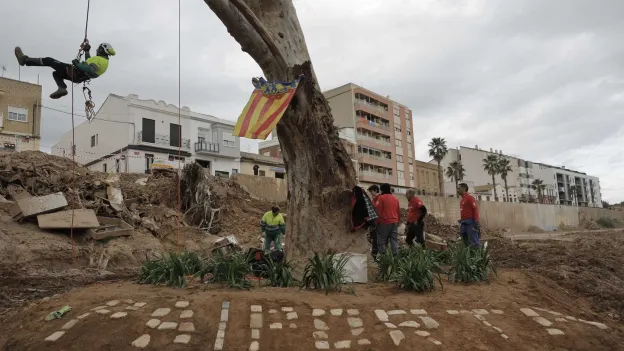 Body of missing person found in Valencia region month and a half after floods