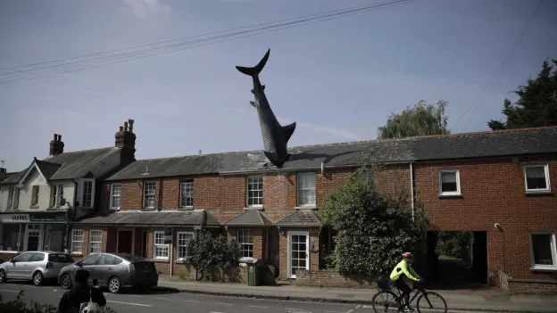 Closure of Popular Airbnb 'The Shark House' to Impact Tourism Sector in Oxford