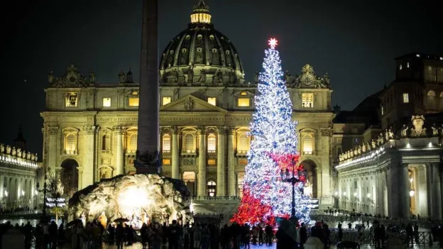 Controversy over Christmas tree for the Vatican despite protests