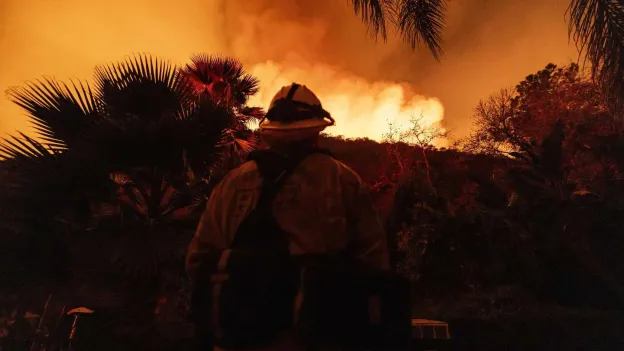 Details Emerge About Causes of Los Angeles Wildfires