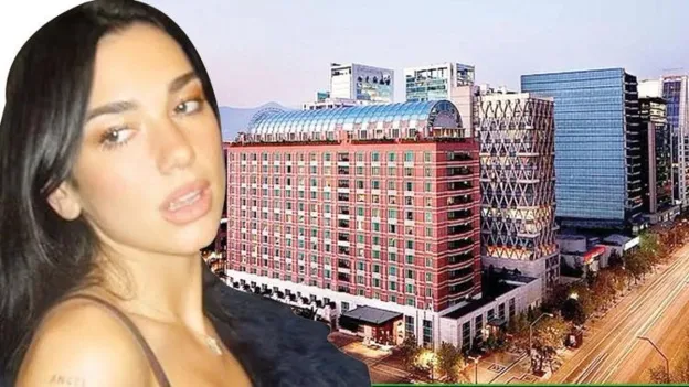 Dua Lipa Fans Storm Hotel