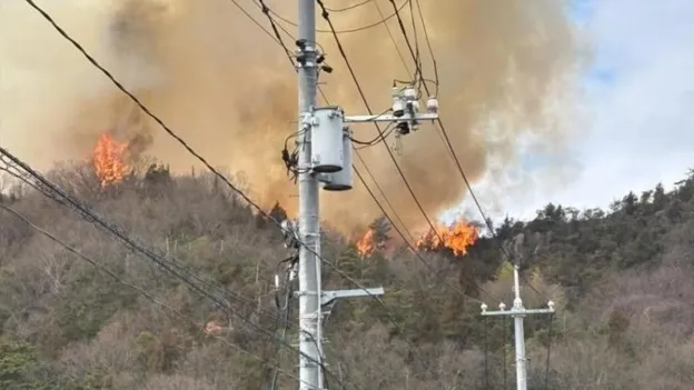 Forest Fire Breaks Out in Japan's Hiroshima Prefecture