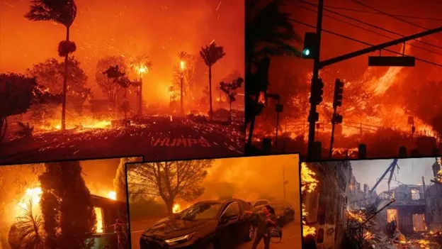 Forest Fire Reaches Luxury Neighborhoods in Los Angeles! 30 Thousand People Evacuated