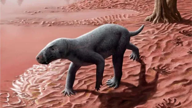 Fossil of 'Sabre-toothed Proto-mammal' Found on Mallorca Could Rewrite Evolutionary History