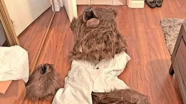 Four individuals arrested in Los Angeles for insurance fraud involving bear costume