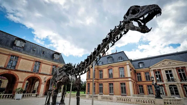 Gigantic Dinosaur Skeleton Sold for 6 Million Euros at Auction in Paris