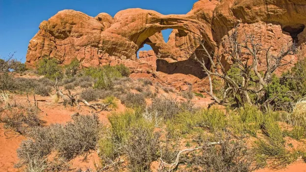 Human Remains Found in Various Stages of Decomposition on Hiking Trail in Utah, US