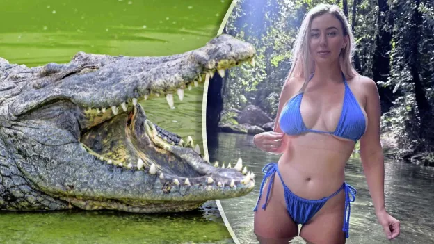 Influencer Faces Massive Fine for Feeding Crocodile Chicken: 'This is Stupid'