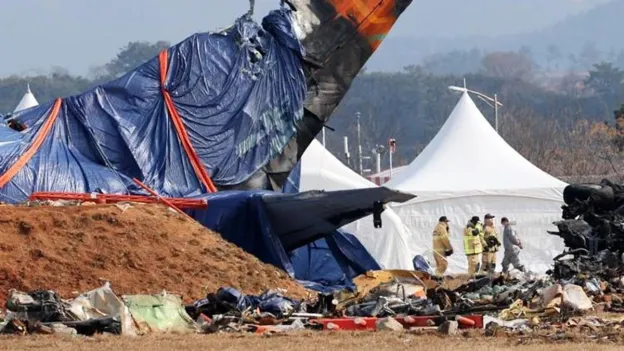 Investigations Continue in South Korea: Bird Feathers Found in Aircraft Engines