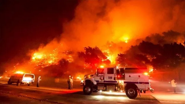 Japan to Provide $2 Million Aid to US for Wildfire Victims