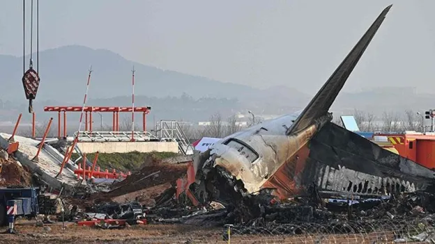 Jeju Air to Suspend Nearly 2,000 Flights Following Fatal Crash in South Korea