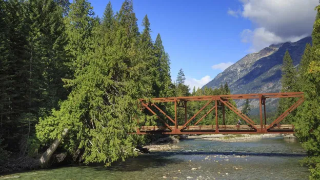 Lost man (39) survives month in national park by drinking river water and eating mushrooms and berries