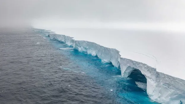 Massive Iceberg Threatens Remote Island Habitat