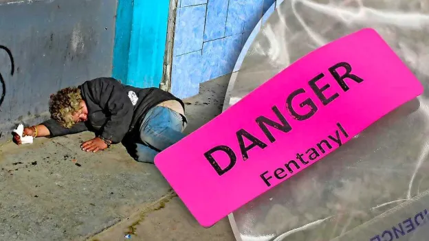 Mexican Drug Cartel Recruiting Vulnerable Chemistry Students for Fentanyl Production