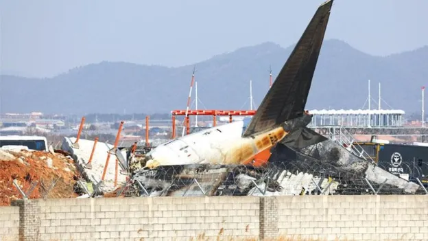 Multiple Plane Crashes Occur in South Korea, Canada, and Norway